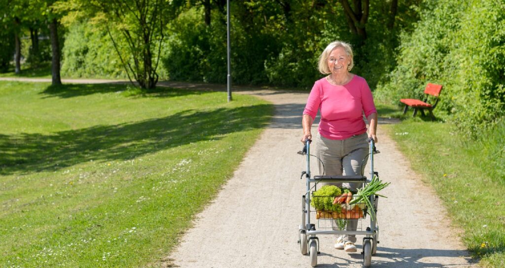 Rollator zum Einkaufen