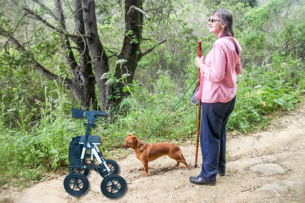 Outdoor Rollator Antar AT51031